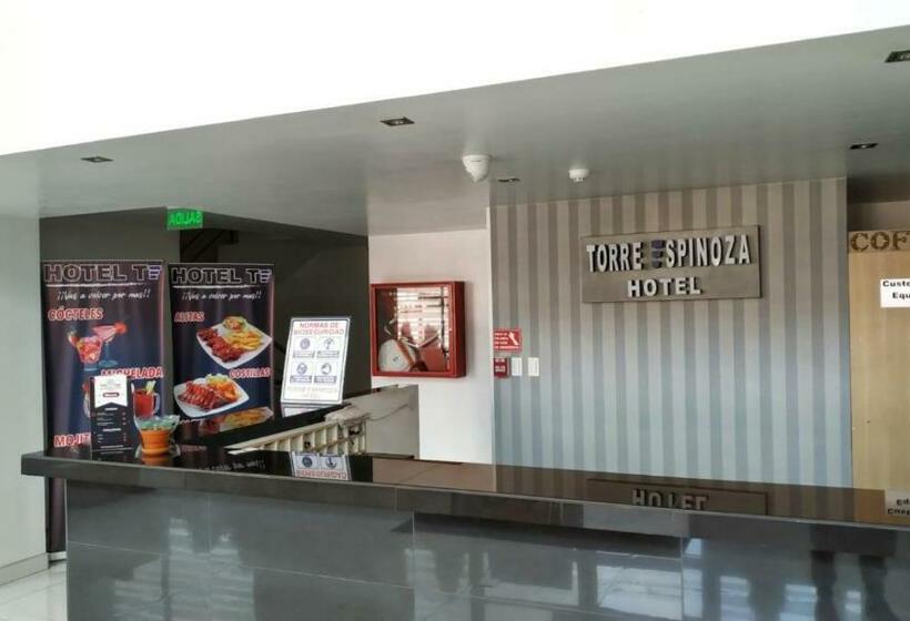 Отель Torre Espinoza
