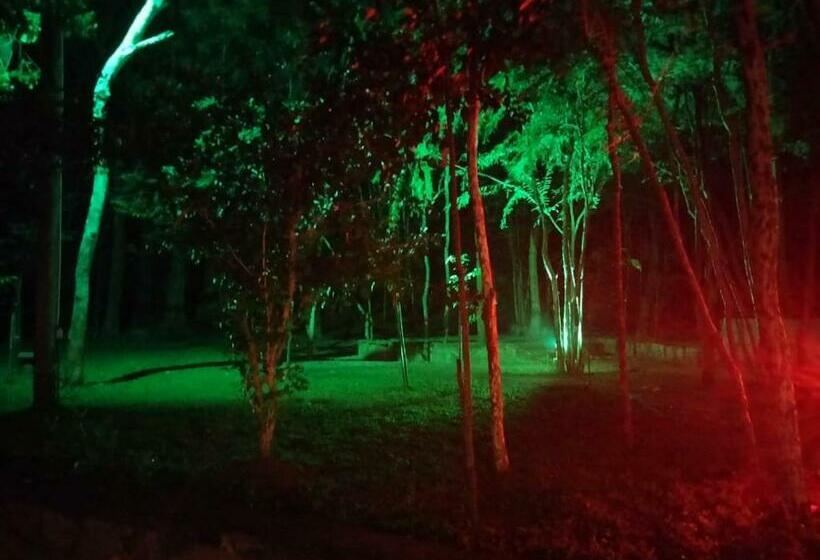 בית מלון כפרי Whiteroyal