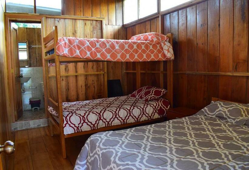 پانسیون Hostal Los Farolitos