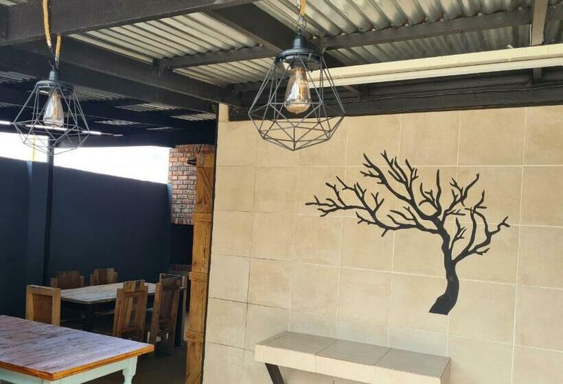 פנסיון Houtgerus Gastehuis/guesthouse