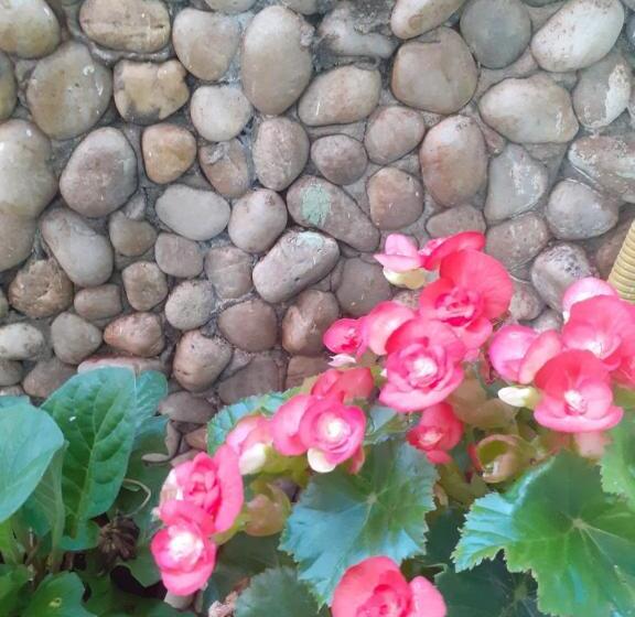 膳宿费 Pousada Recanto Das Flores