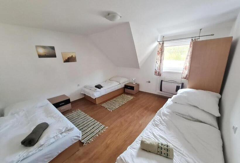 膳宿费 Starý Dom