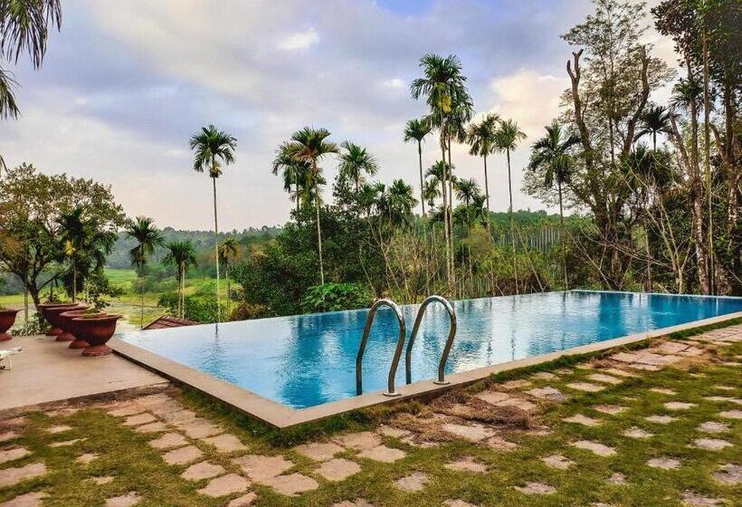 The Wave Lakeview Resort & Spa