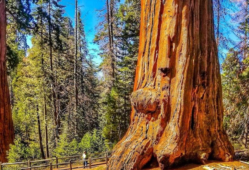 호스텔 Genas S Sierra Inn & Restaurant