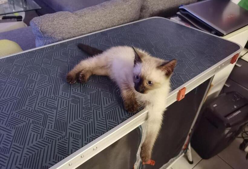 צימר Chalet Esprit