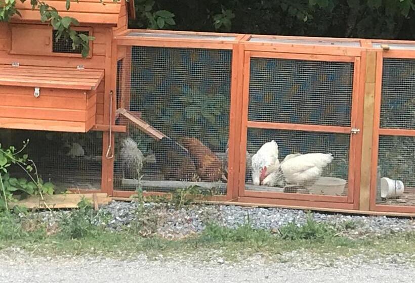 צימר Chalet Esprit