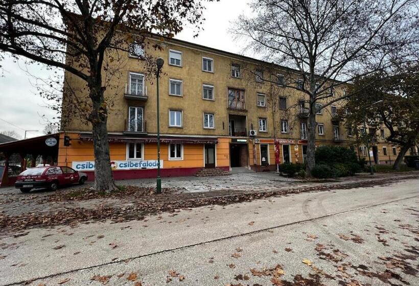 住宿加早餐  Duna Centroom