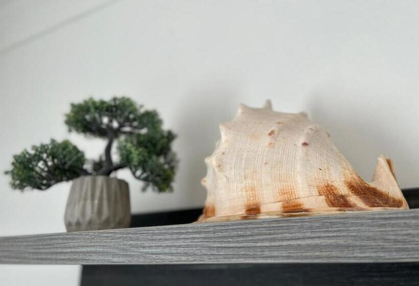 住宿加早餐  Duna Centroom