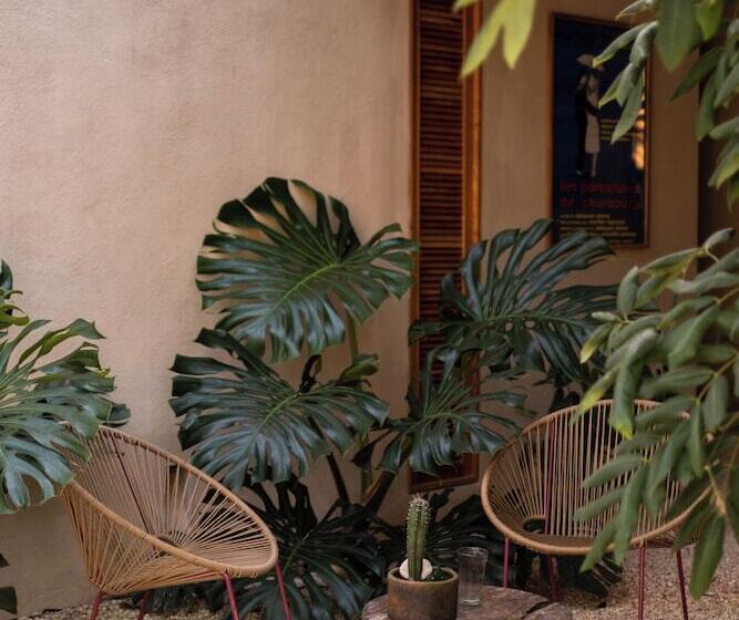 住宿加早餐  Galopina