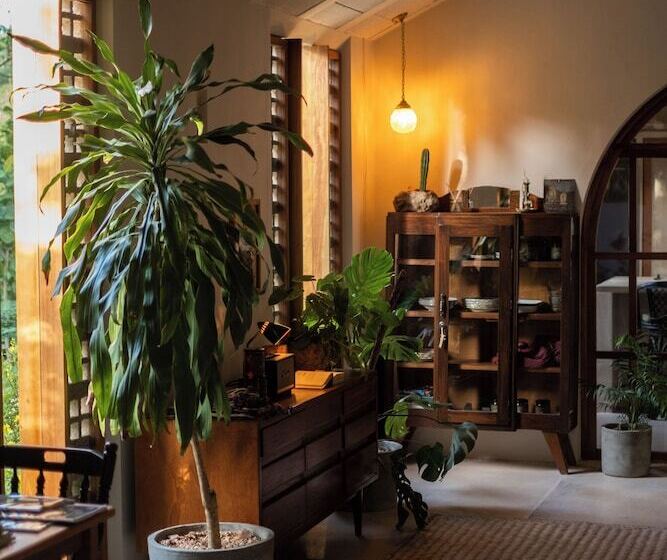 مبيت وإفطار Galopina