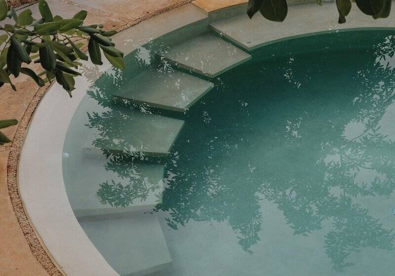 住宿加早餐  Galopina