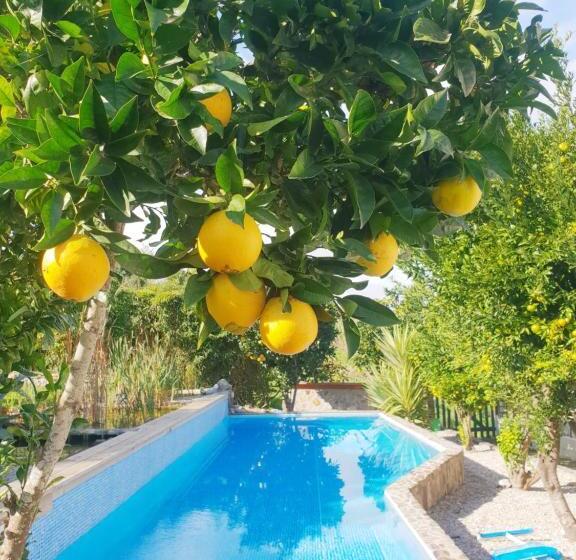 تختخواب و صبحانه The Far End Surf House   Breakfast Included Eco Surf Villa  5 Km From Beach