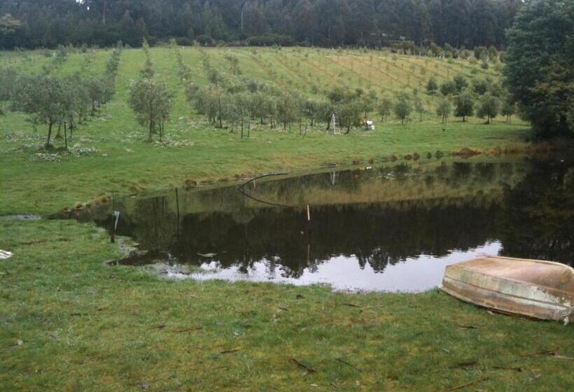 مبيت وإفطار Wanderers Cottage