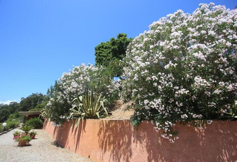 Ca  La Stella Sea View Apartments