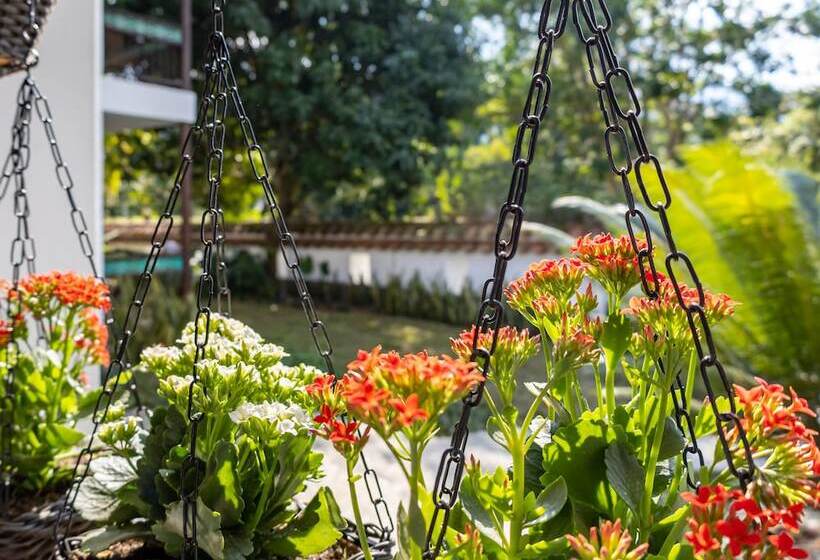 Casa Jacaranda Hotel Boutique