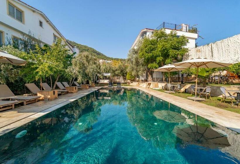 בית מלון כפרי Massi Near The Sea