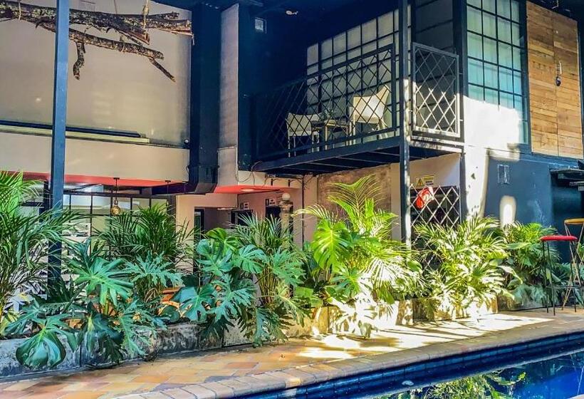 פנסיון Fardo Hotel Boutique En Ibague   Zona G   Recepción Digital 24h