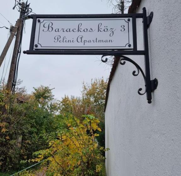 Пансион Pelini   1