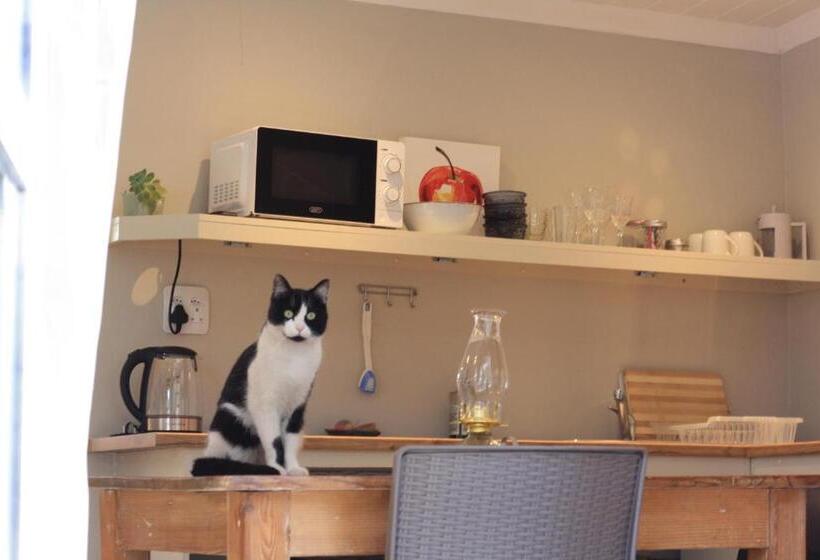 פנסיון Sarah S Place  Heatherlands,george