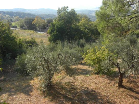 Bed and Breakfast Il Poggetto