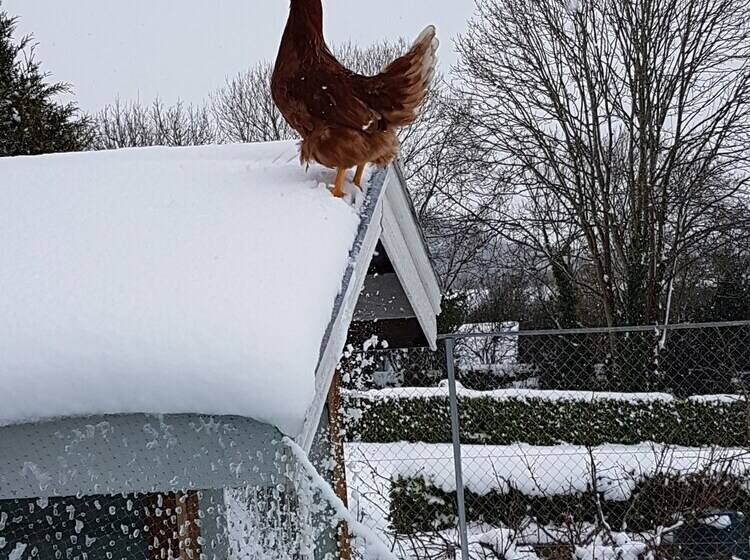 تختخواب و صبحانه Kilcatten Lodge