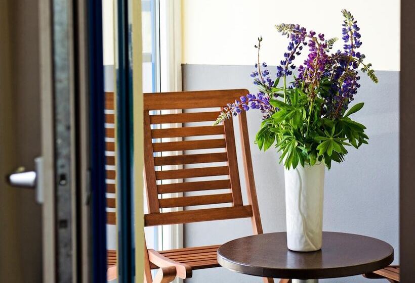 בית מלון כפרי Best Palanga