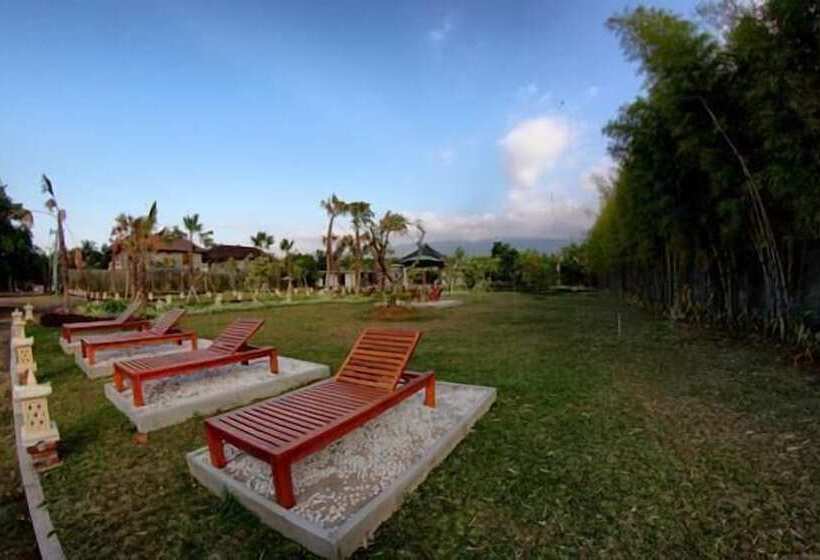 Gino Feruci Villa Lovina