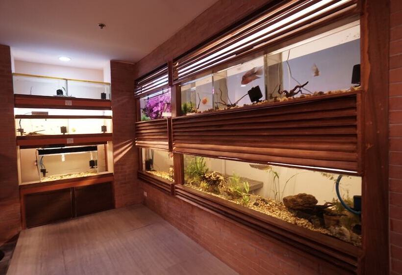 Отель 1775 Adriatico Suites