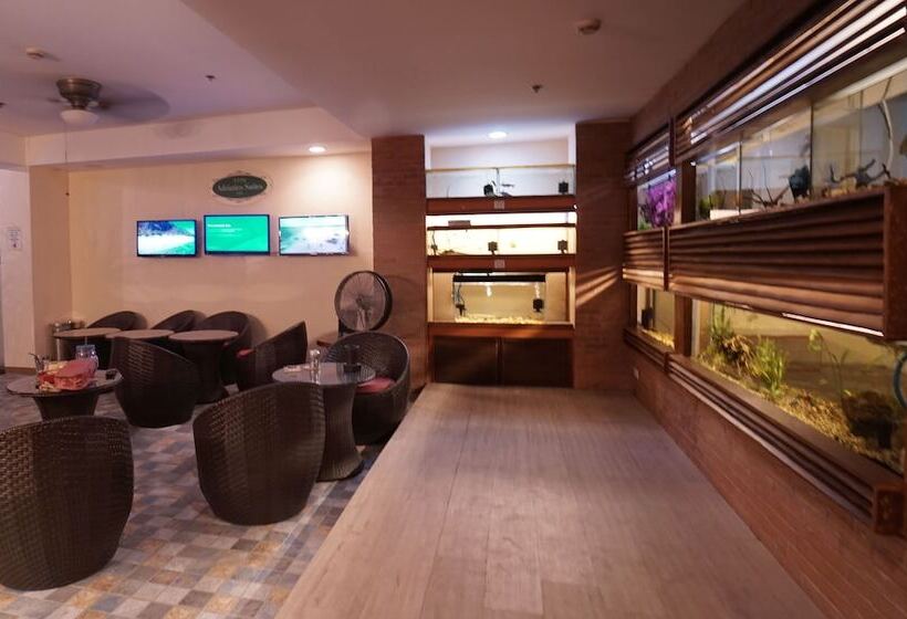 Отель 1775 Adriatico Suites