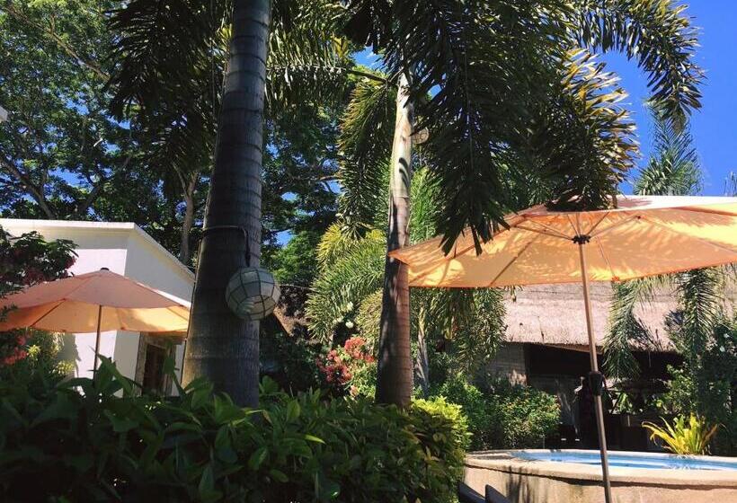 Отель Acacia Tree Garden