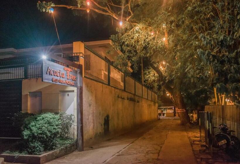 Отель Acacia Tree Garden