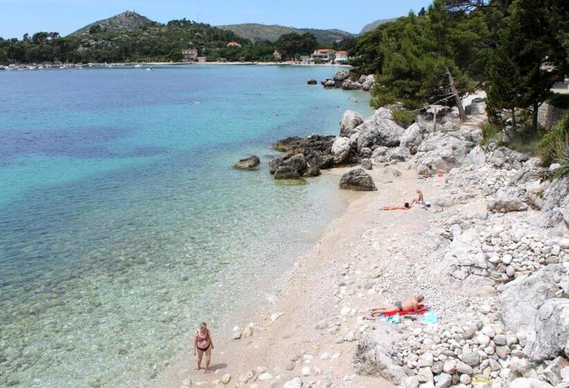 Отель Apartments And Rooms With Parking Space Mlini, Dubrovnik 8835