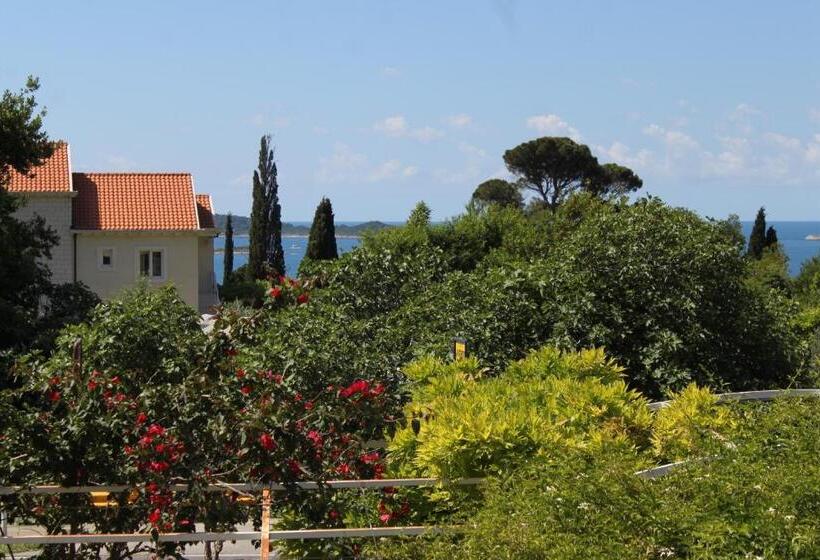 Отель Apartments And Rooms With Parking Space Mlini, Dubrovnik 8835