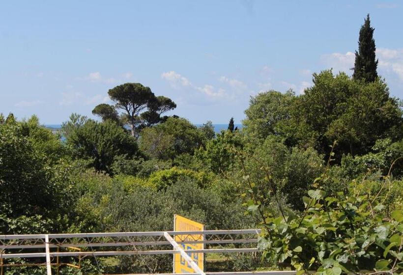 Отель Apartments And Rooms With Parking Space Mlini, Dubrovnik 8835