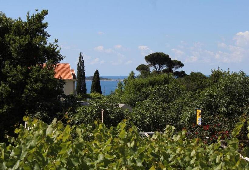 Отель Apartments And Rooms With Parking Space Mlini, Dubrovnik 8835