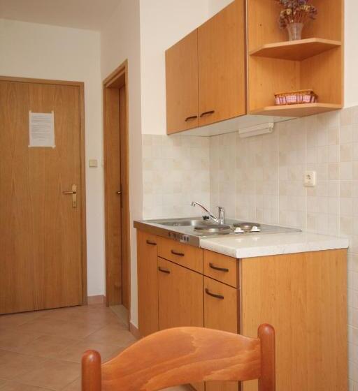 Отель Apartments And Rooms With Parking Space Mlini, Dubrovnik 8835