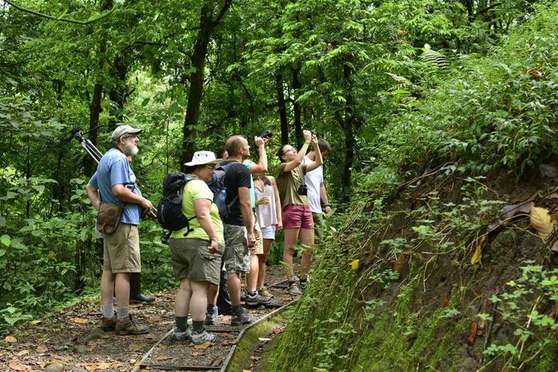 فندق Arenal Observatory Lodge & Trails