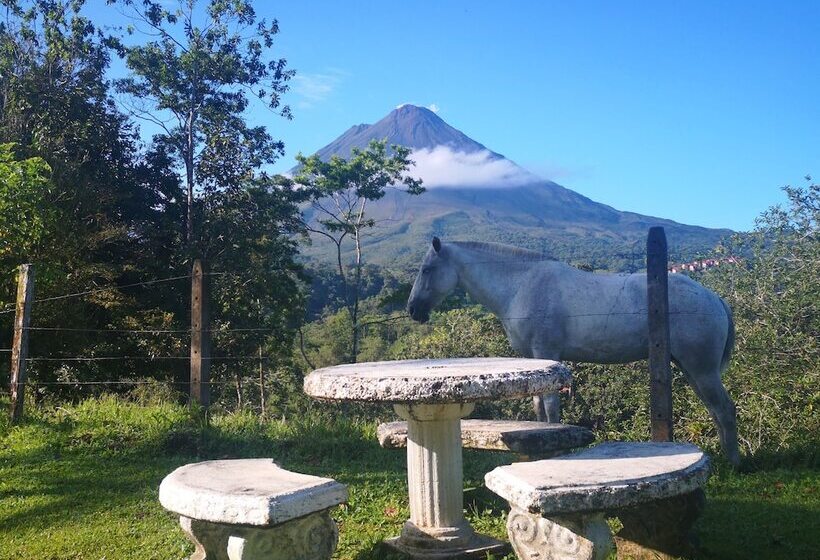 فندق Arenal Palace