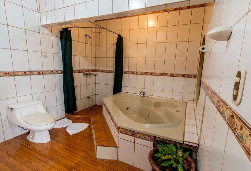 فندق Arenal Palace