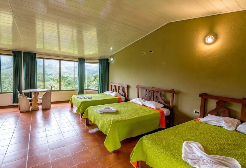 فندق Arenal Palace