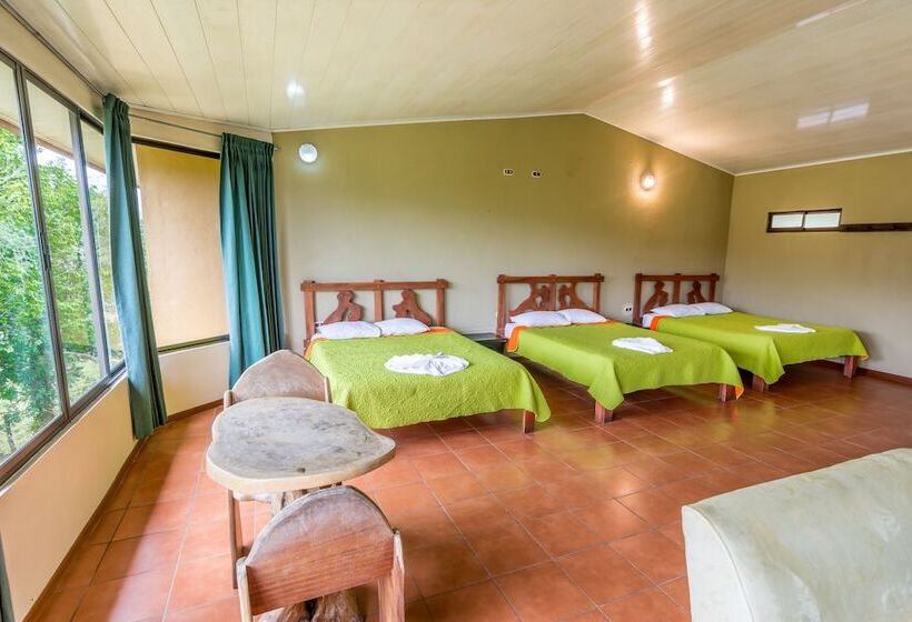 فندق Arenal Palace