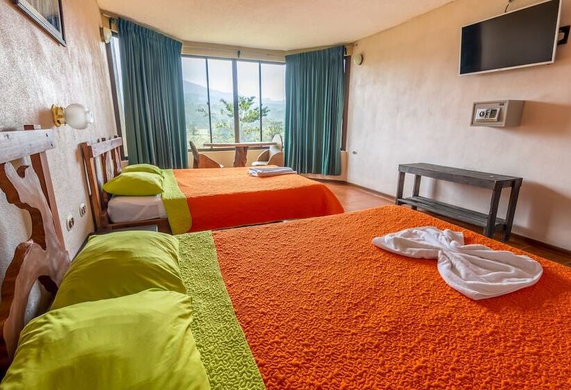 فندق Arenal Palace