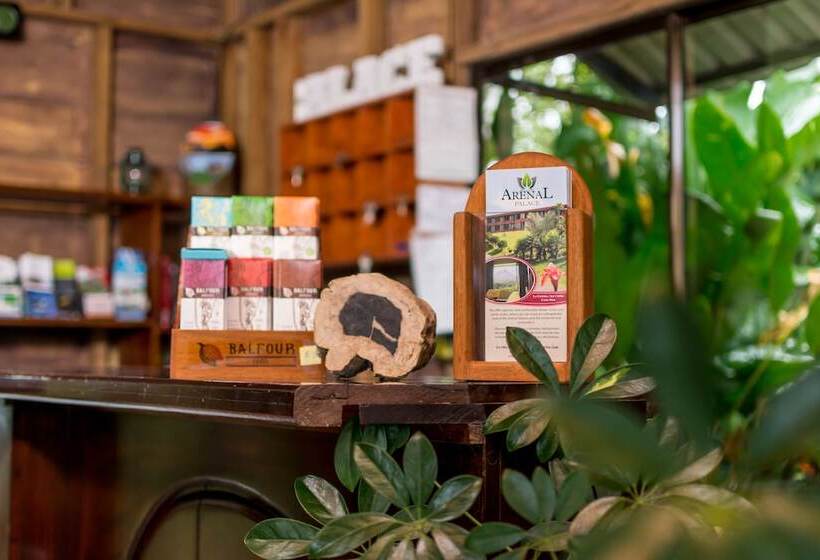 فندق Arenal Palace