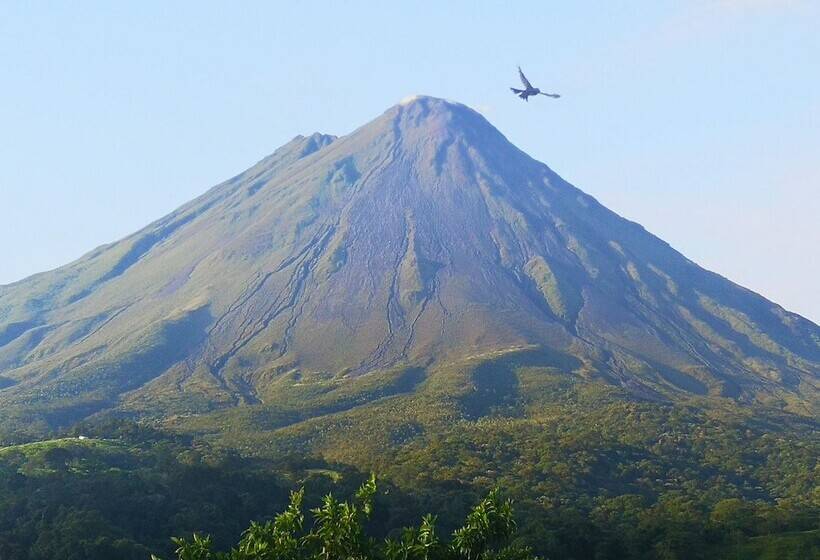 فندق Arenal Palace