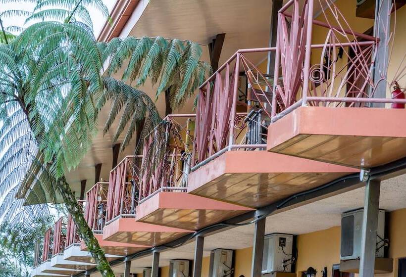 فندق Arenal Palace