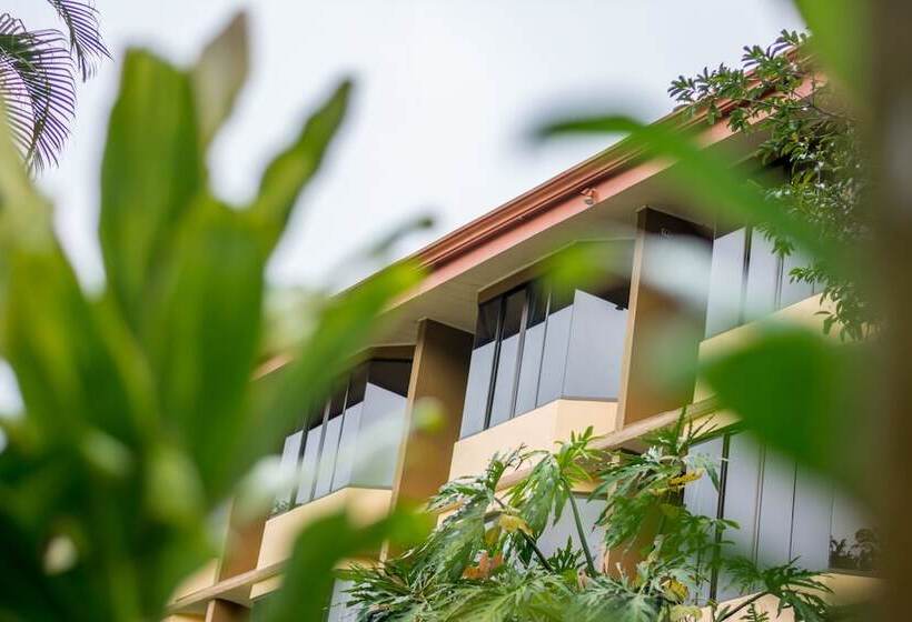 فندق Arenal Palace