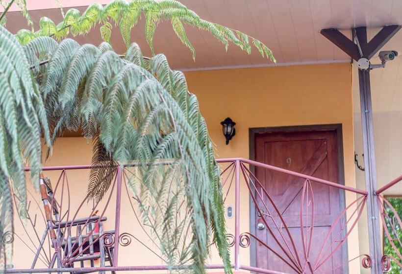 فندق Arenal Palace