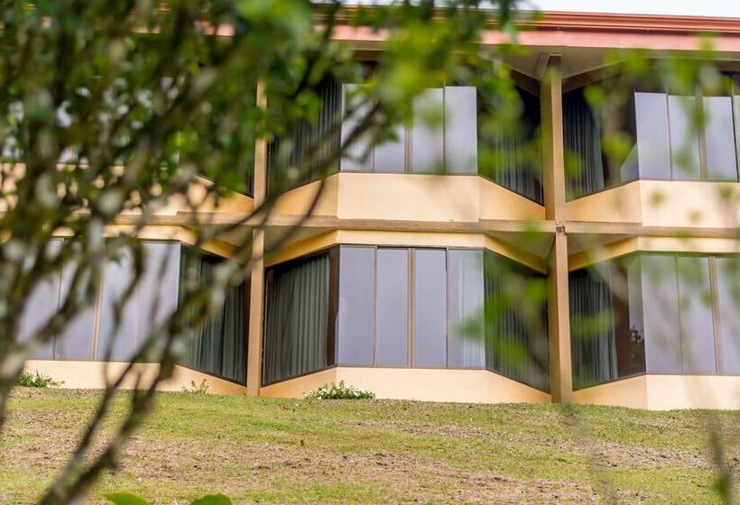 فندق Arenal Palace