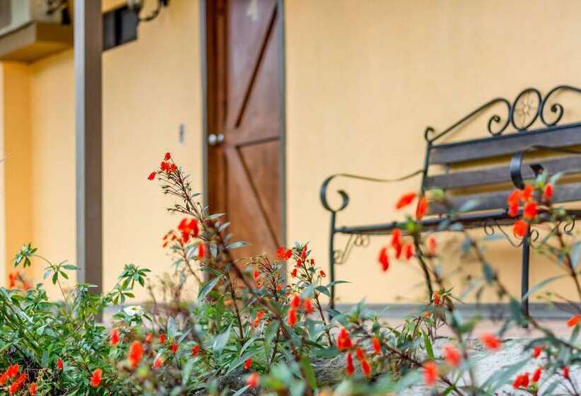 فندق Arenal Palace