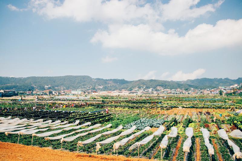 Hotel Azalea Residences Baguio